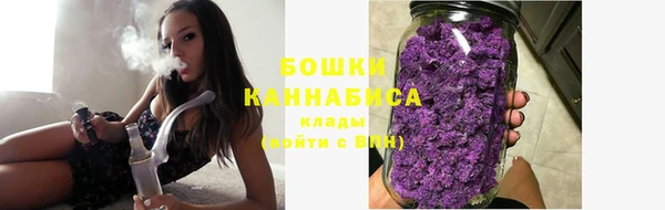 трава Горнозаводск