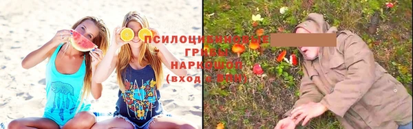 трава Горнозаводск