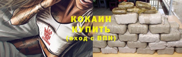 соль ск Железноводск