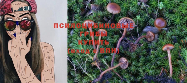 круглые Горно-Алтайск