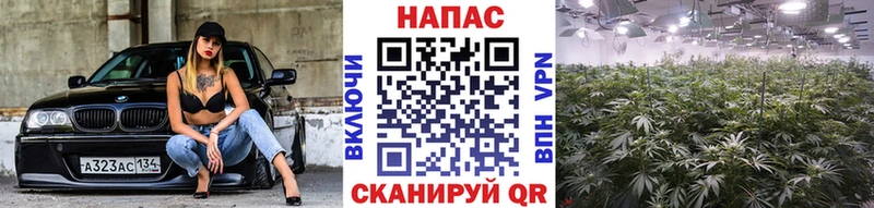 где продают   Ермолино  Шишки марихуана Ganja 